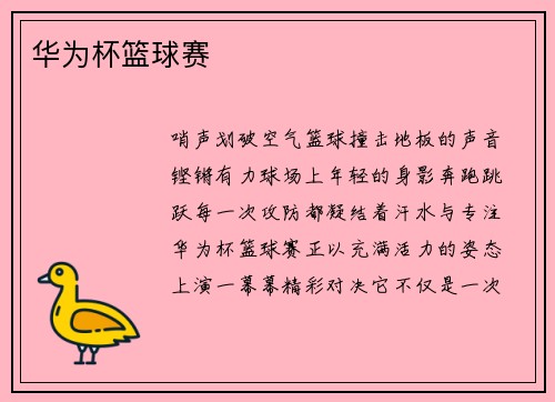 华为杯篮球赛
